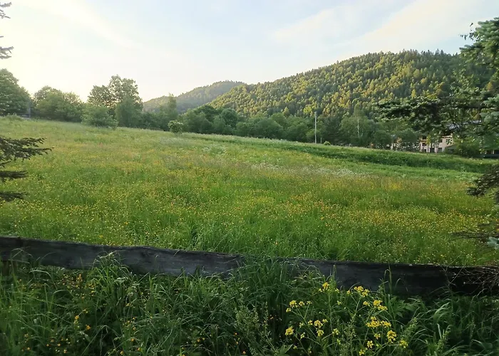 Klementowka