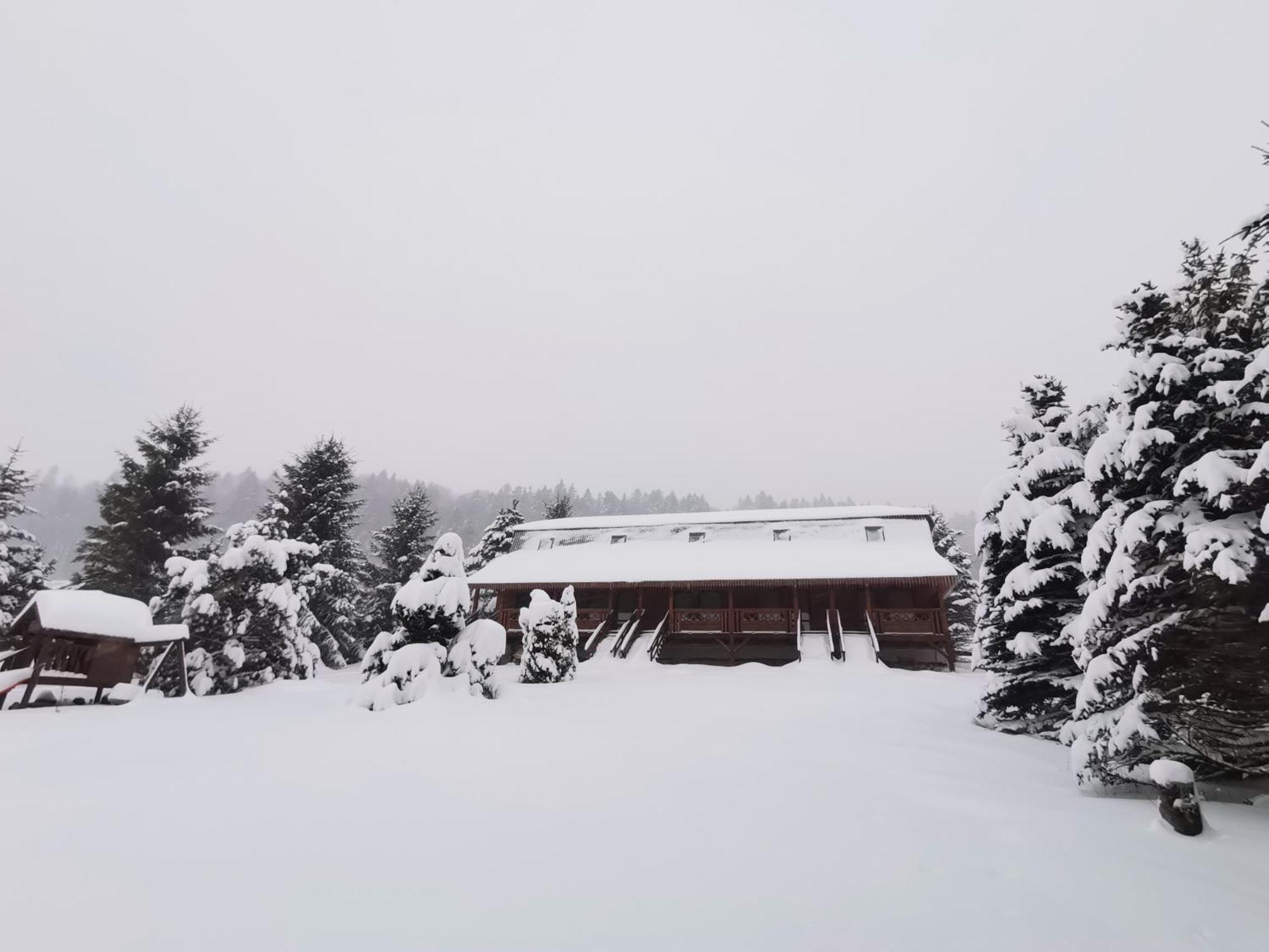 Lodge Klementowka *